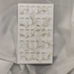 Καλούπι Σιλικόνης Κόκκαλα σκύλου