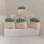 Καλούπι σιλικόνης βανάκι με δεντράκι